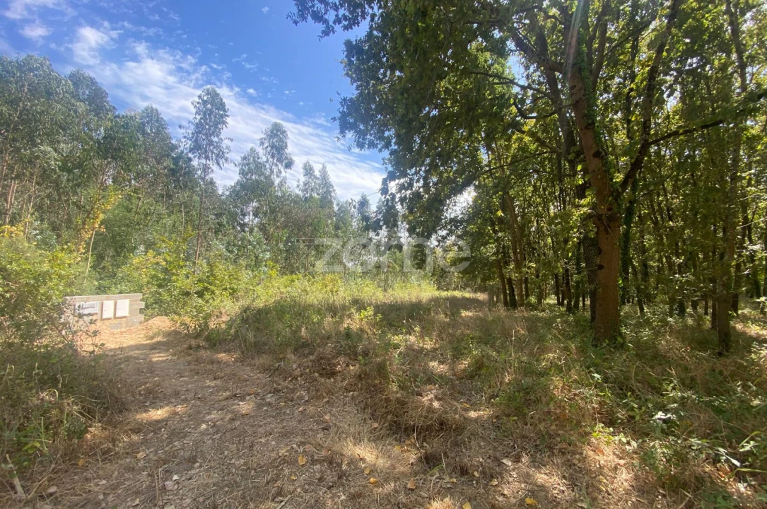 Terreno para Venda em Aguada de Cima Foto 10