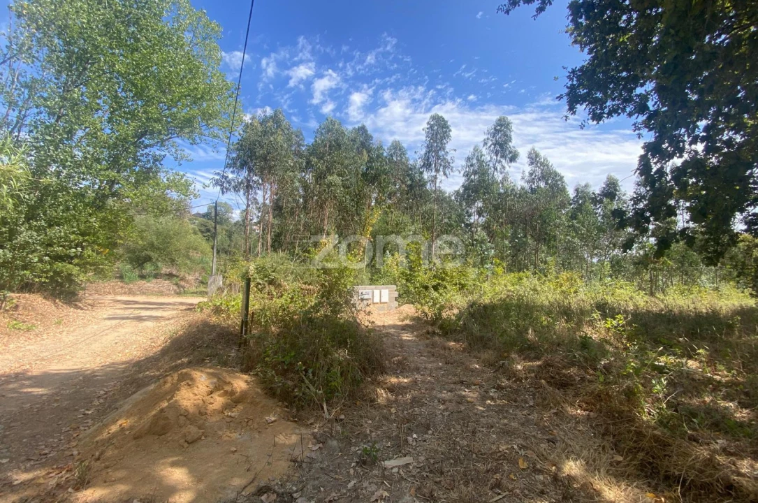 Terreno para Venda em Aguada de Cima Foto 11