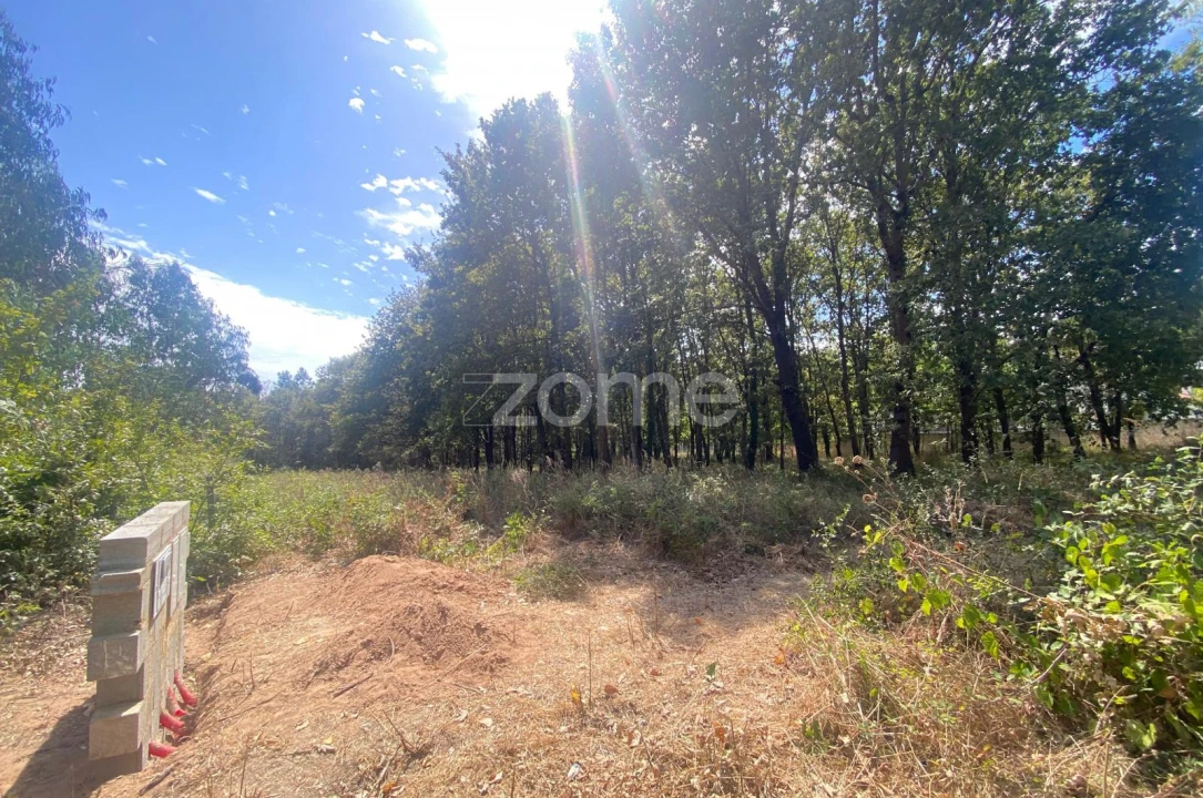Terreno para Venda em Aguada de Cima Foto 6