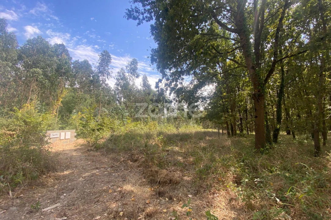 Terreno para Venda em Aguada de Cima Foto 15