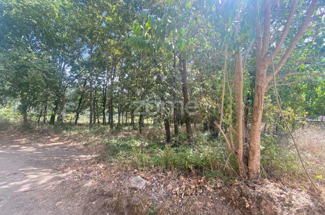 Terreno para Venda em Aguada de Cima Foto 9