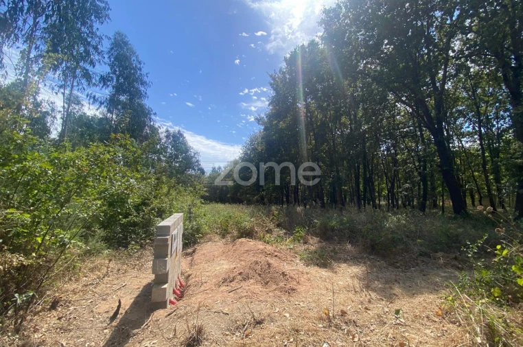 Terreno para Venda em Aguada de Cima Foto 12