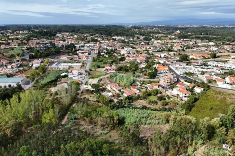 Terreno para Venda em Aguada de Cima Foto 12