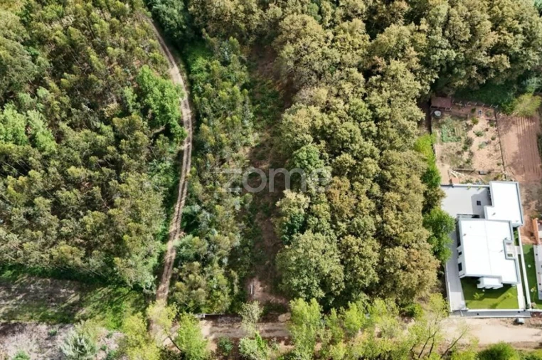 Terreno para Venda em Aguada de Cima Foto 15