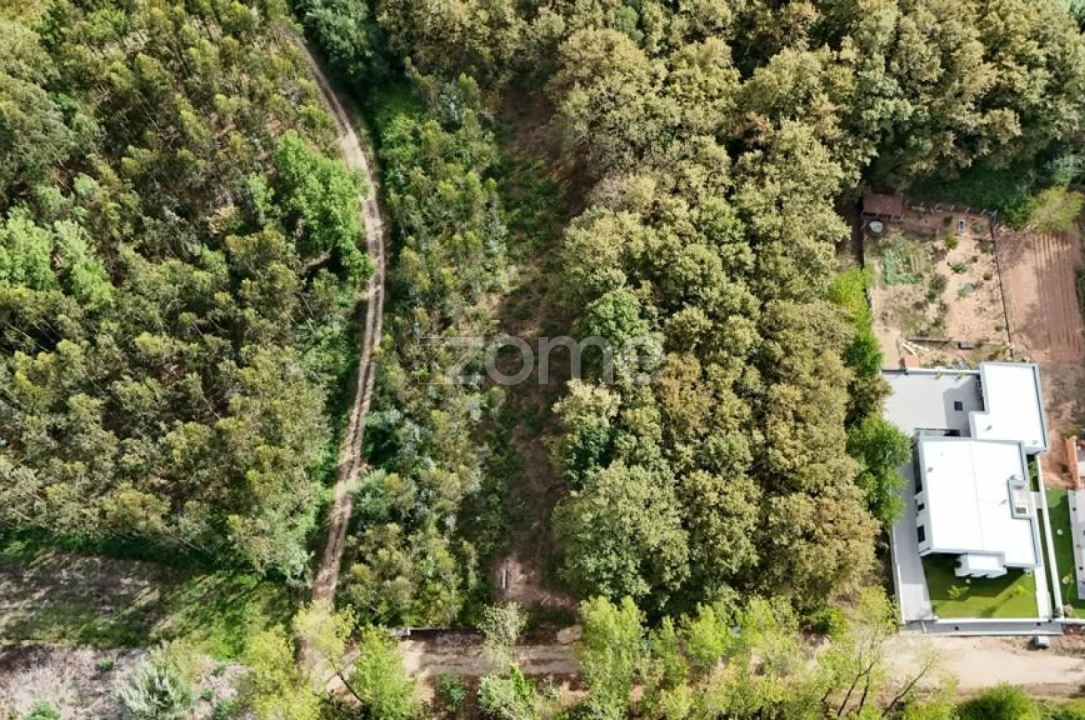 Terreno para Venda em Aguada de Cima Foto 13