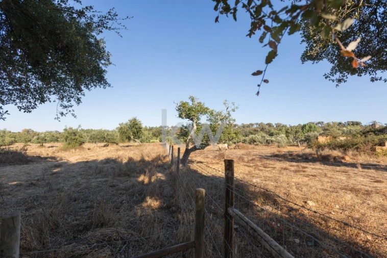 Quinta T4 para Venda em Cercal Foto 2