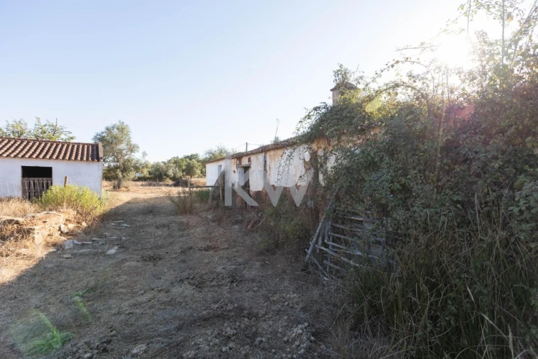 Quinta T4 para Venda em Cercal Foto 9