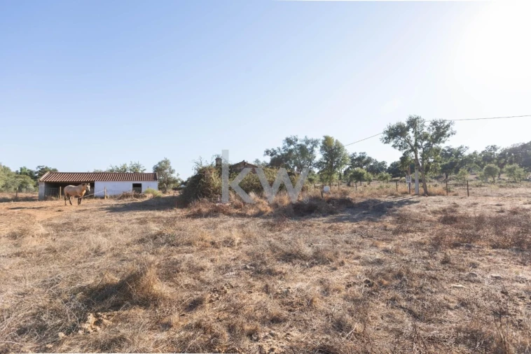 Quinta T4 para Venda em Cercal Foto 4