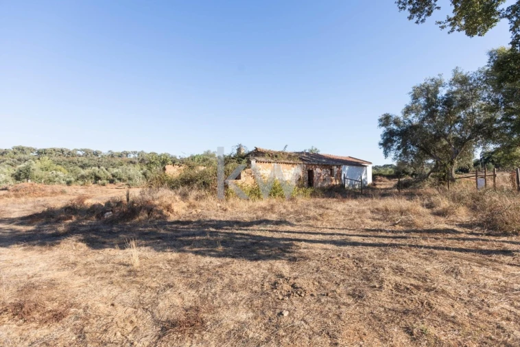 Quinta T4 para Venda em Cercal Foto 10