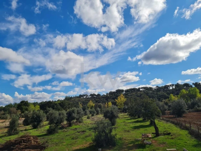 Quinta T4 para Venda em Cercal Foto 16