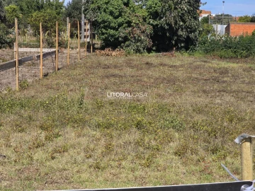 Terreno para Venda em Cacia