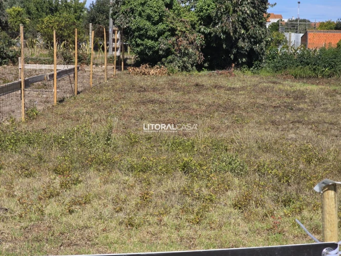 Terreno para Venda em Cacia Foto 16