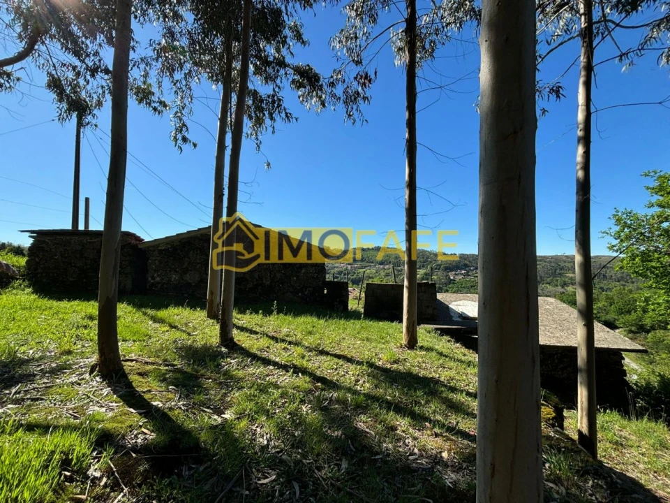 Moradia T2 para Venda em Aboim, Felgueiras, Gontim e Pedraído Foto 18