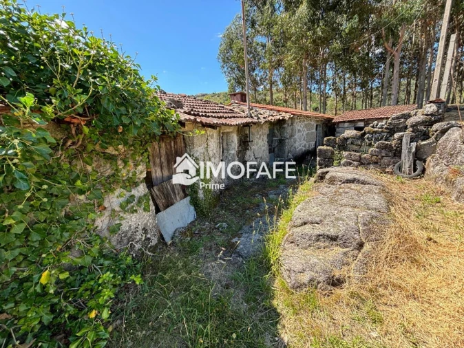 Moradia T2 para Venda em Aboim, Felgueiras, Gontim e Pedraído Foto 25