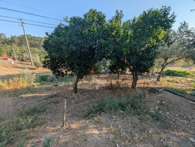 Moradia T4 para Venda em São João do Peso Foto 28