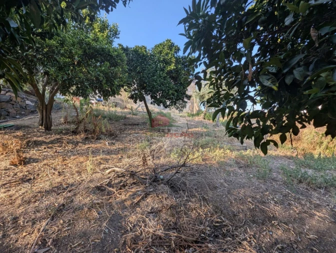 Moradia T4 para Venda em São João do Peso Foto 29