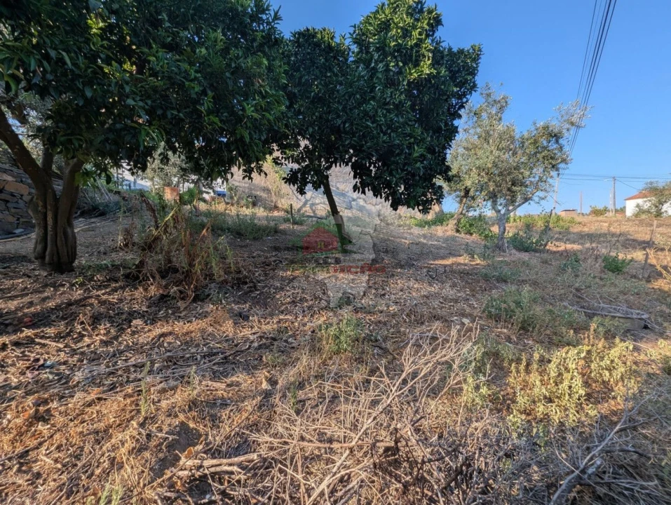 Moradia T4 para Venda em São João do Peso Foto 30