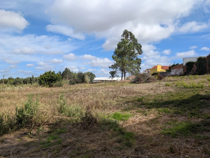 Terreno para Venda em Miragaia e Marteleira Foto 10