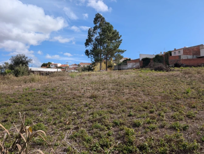 Terreno para Venda em Miragaia e Marteleira Foto 11