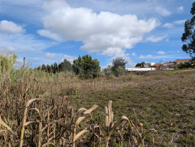 Terreno para Venda em Miragaia e Marteleira Foto 12