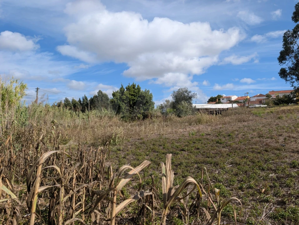 Terreno para Venda em Miragaia e Marteleira Foto 12