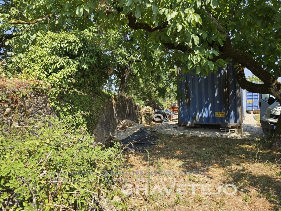 Terreno Agricola ou Rústico para Venda em Areias e Pias Foto 12