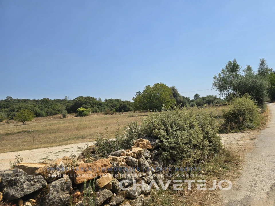 Terreno Agricola ou Rústico para Venda em Areias e Pias Foto 14