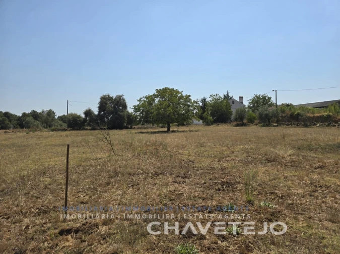 Terreno Agricola ou Rústico para Venda em Areias e Pias Foto 9