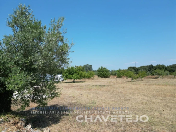 Terreno Agricola ou Rústico para Venda em Areias e Pias Foto 11