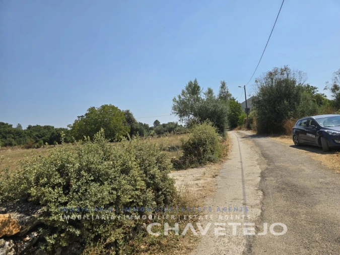 Terreno Agricola ou Rústico para Venda em Areias e Pias Foto 15