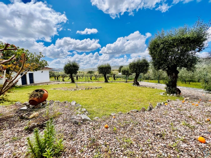 Moradia T4 para Venda em Alvaiázere Foto 22