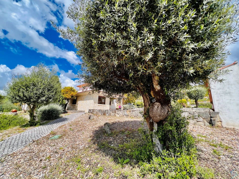 Moradia T4 para Venda em Alvaiázere Foto 33