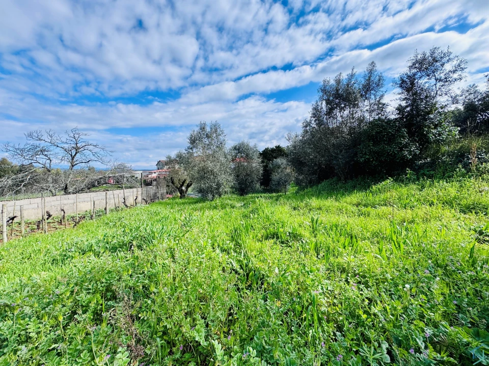 Moradia T2 para Venda em Arega Foto 30