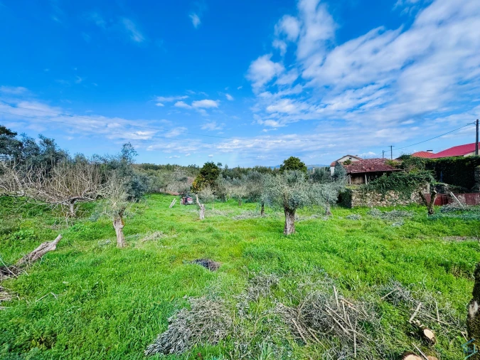 Moradia T2 para Venda em Arega Foto 32