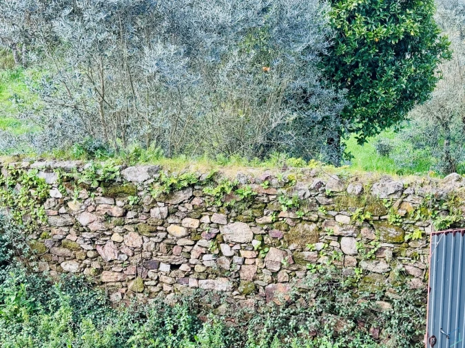 Moradia T2 para Venda em Arega Foto 12