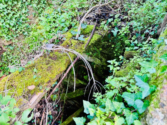 Moradia T2 para Venda em Arega Foto 15