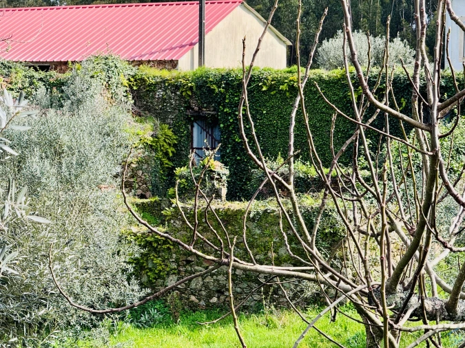 Moradia T2 para Venda em Arega Foto 34