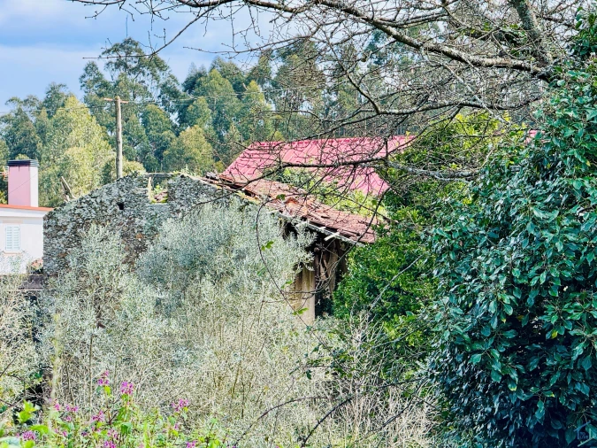 Moradia T2 para Venda em Arega Foto 33