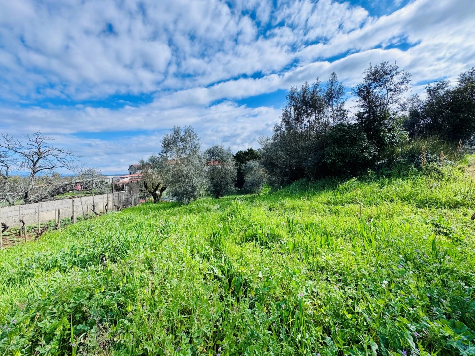 Moradia T2 para Venda em Arega Foto 31