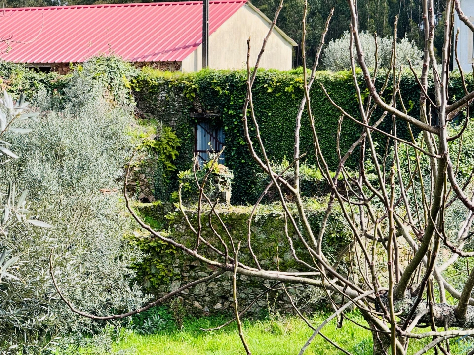 Moradia T2 para Venda em Arega Foto 34