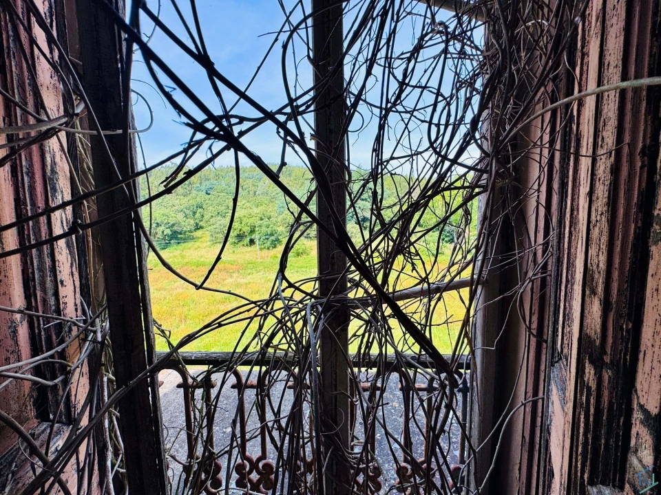 Quinta T7 para Venda em Pussos São Pedro Foto 9