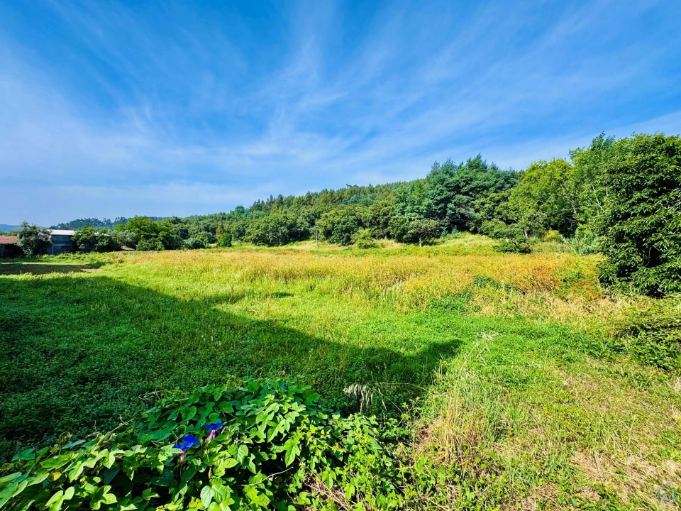 Quinta T7 para Venda em Pussos São Pedro Foto 61