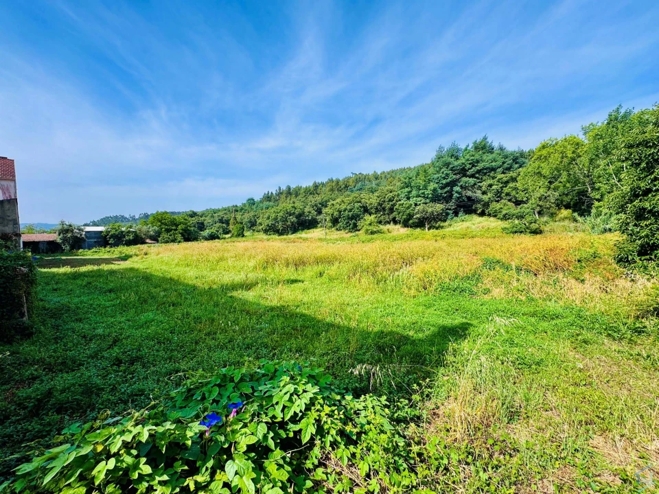 Quinta T7 para Venda em Pussos São Pedro Foto 60
