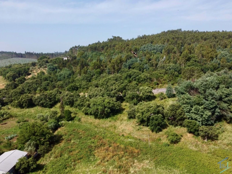 Quinta T7 para Venda em Pussos São Pedro Foto 69