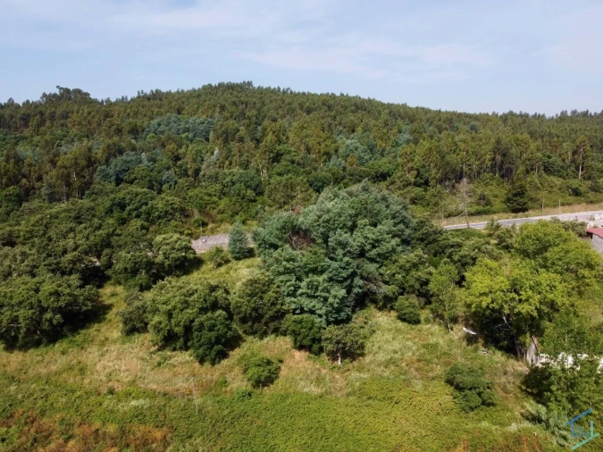 Quinta T7 para Venda em Pussos São Pedro Foto 68