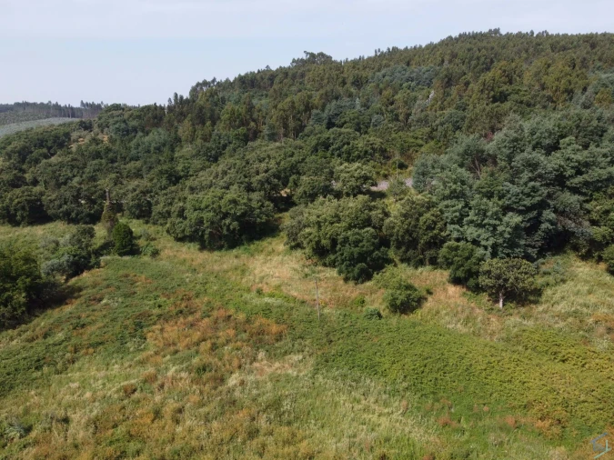 Quinta T7 para Venda em Pussos São Pedro Foto 67