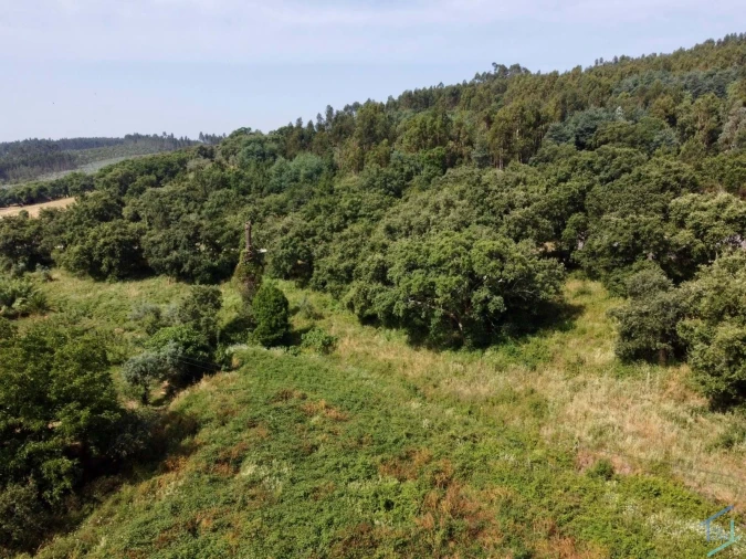 Quinta T7 para Venda em Pussos São Pedro Foto 66