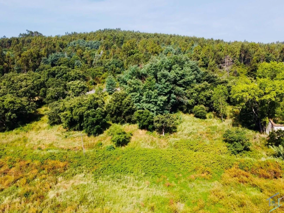 Quinta T7 para Venda em Pussos São Pedro Foto 65