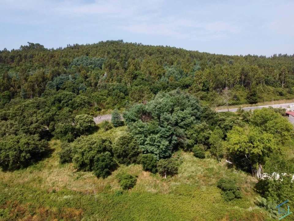 Quinta T7 para Venda em Pussos São Pedro Foto 68