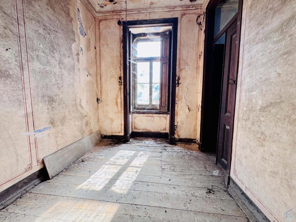 Quinta T7 para Venda em Pussos São Pedro Foto 31